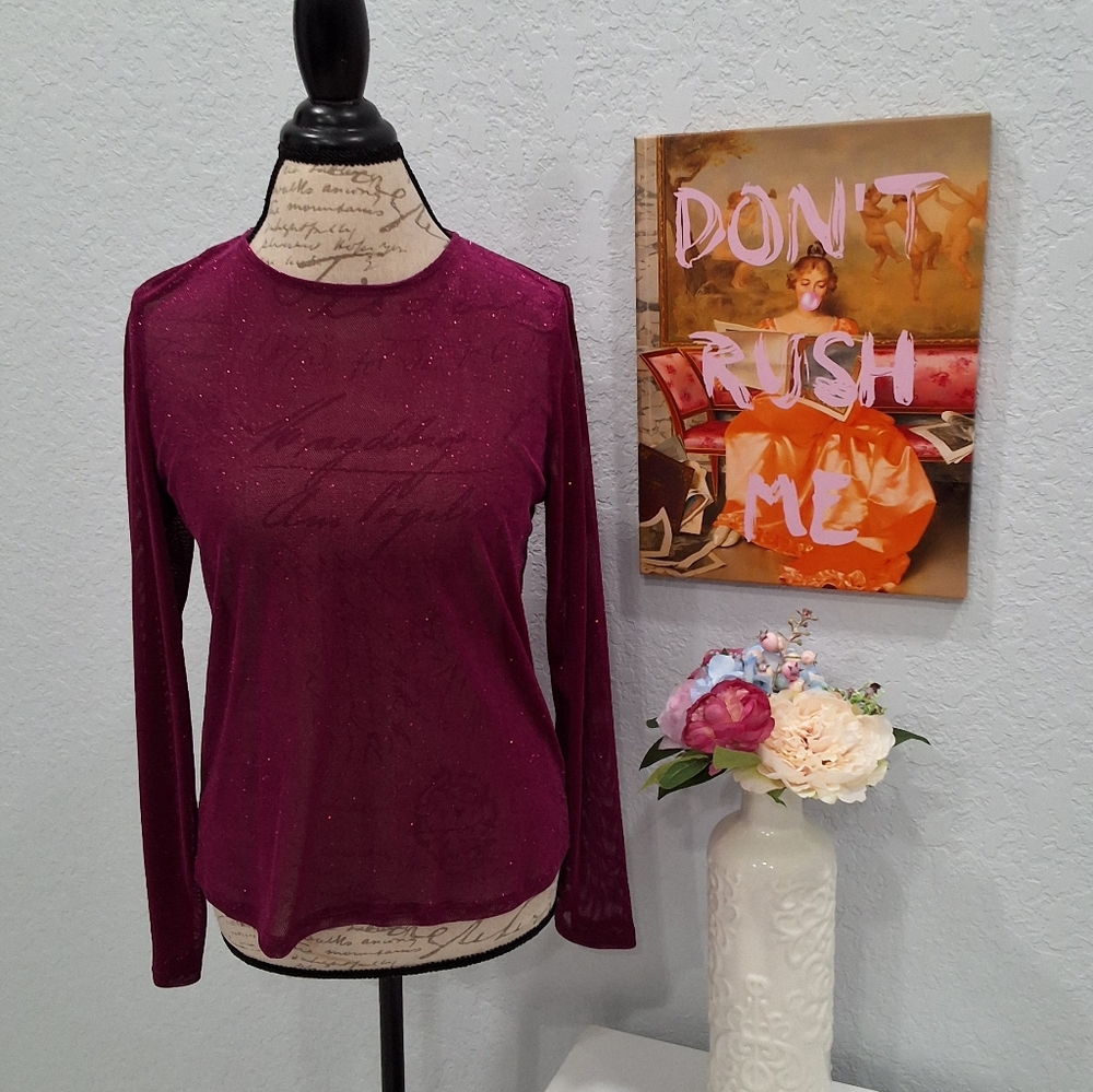 NWT Express Sheer Women's Blouse